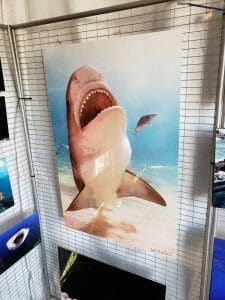 3 Art is gonna getcha! Tiger Shark as captured by Emerging Artist Scott Aranha.