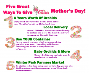 Five Ways Lots of LUVly ways to give Ginny's Orchids for Mother's Day!